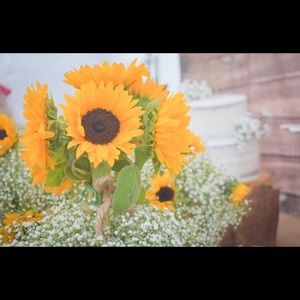 Meet your Posher, Araceli